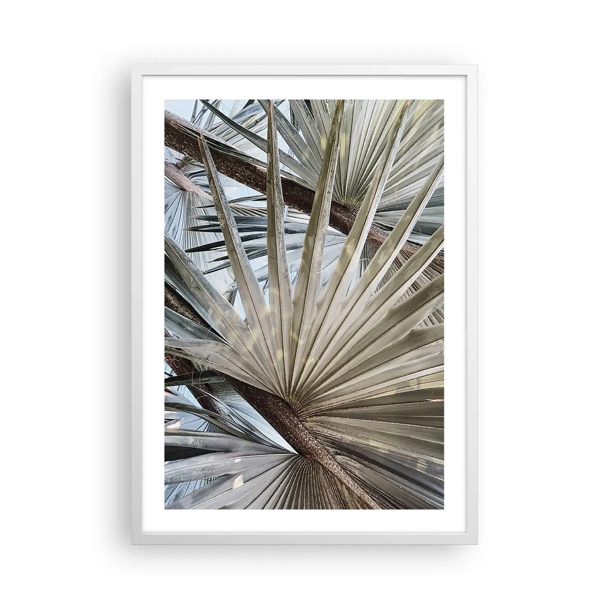 Plakat i hvid ramme - Ventilatorer i troperne - 50x70 cm