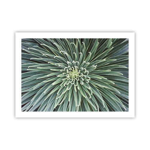 Plakat - En stjernes fødsel - 70x50 cm