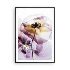 Plakat i sort ramme - Blomsterlegeme dias - 70x100 cm