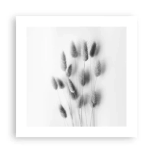 Plakat - Dens bløde græs - 40x40 cm
