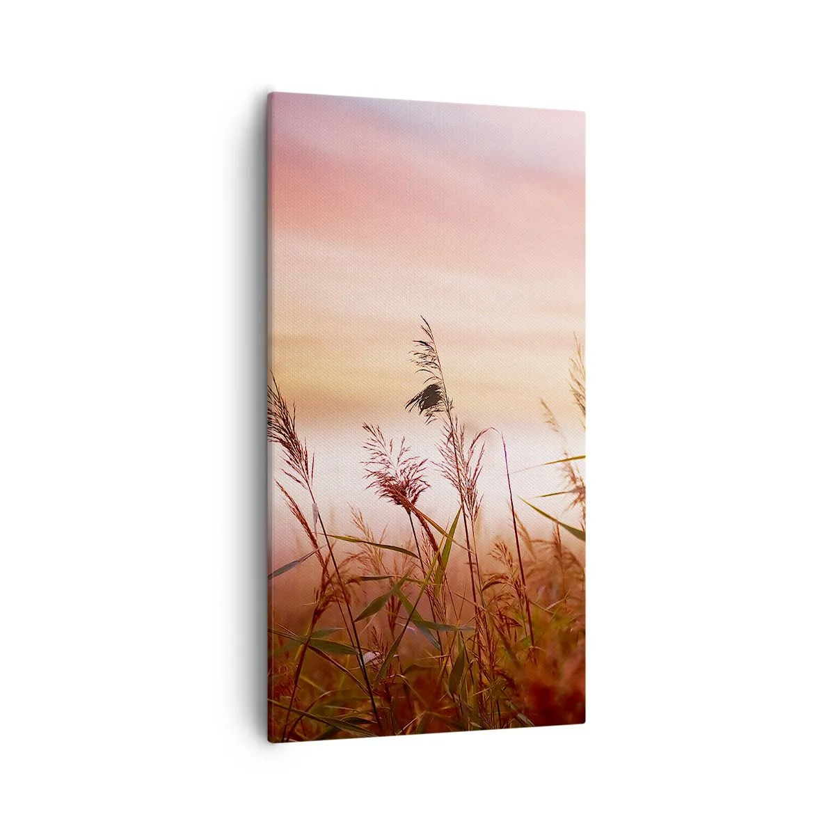 Lærredstryk - Billede på lærred - Drager, blæsere, vind - 55x100 cm