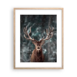 Plakat i ramme af lyst egetræ - Skovens konge kronet - 40x50 cm
