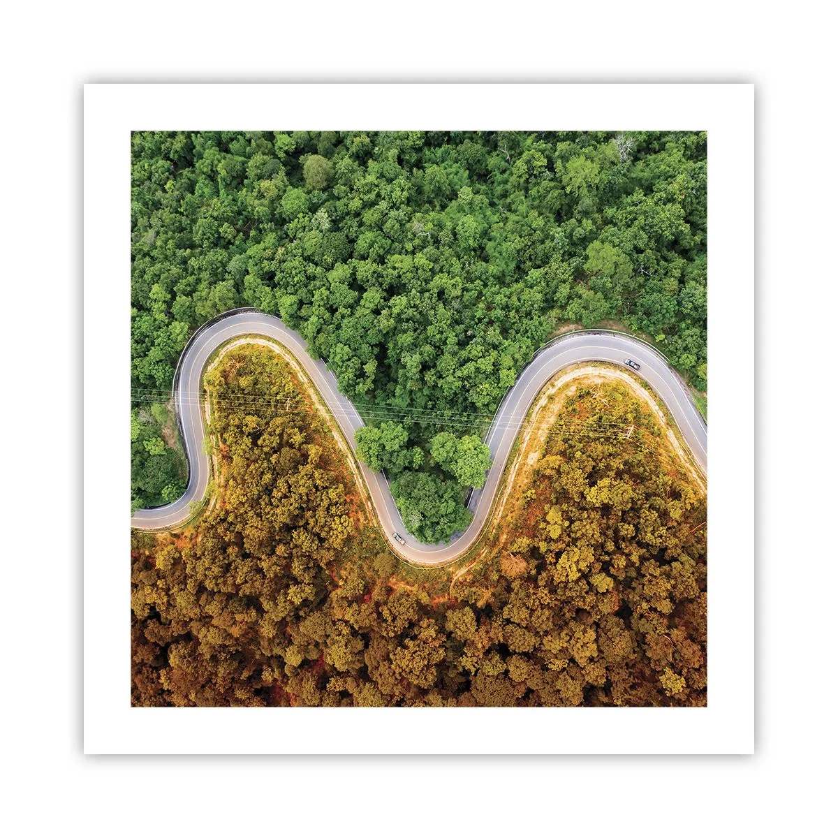 Plakat - Grænser og gennembrud - 50x50 cm
