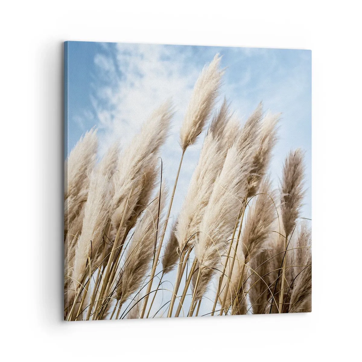 Lærredstryk - Billede på lærred - Solrig og blæsende kærtegn - 60x60 cm