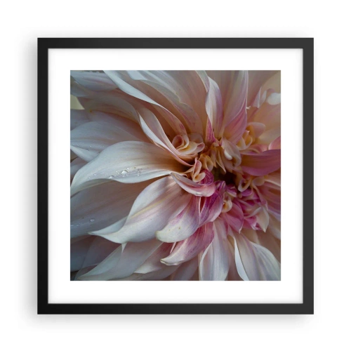 Plakat i sort ramme - Blomstrende friskhed - 40x40 cm