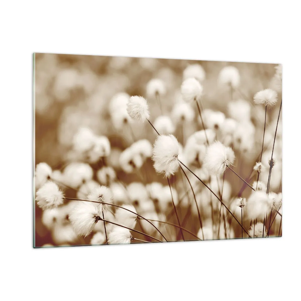 Billede på glas - Fyldig mark - 120x80 cm