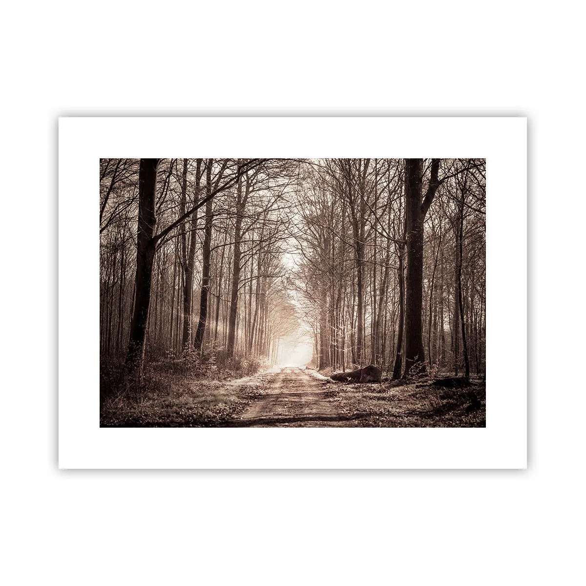 Plakat - Skovkatedralen - 40x30 cm