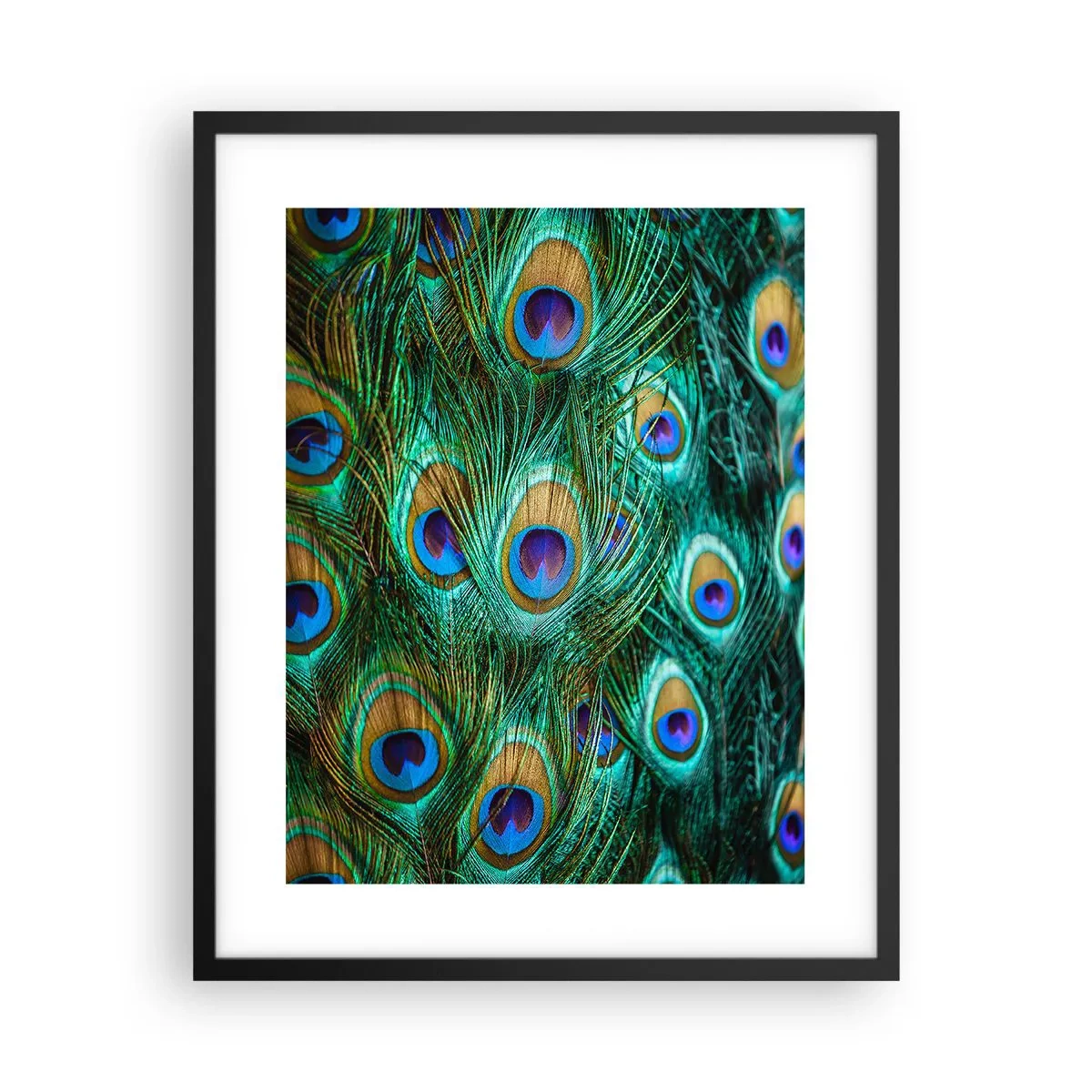 Plakat i sort ramme - En påfugls blik - 40x50 cm