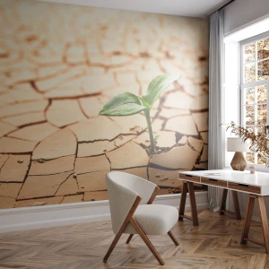 Fototapet Premium Canvas - Den ukuelige livskraft - Natur, Plante, Tørke - 100x70 cm