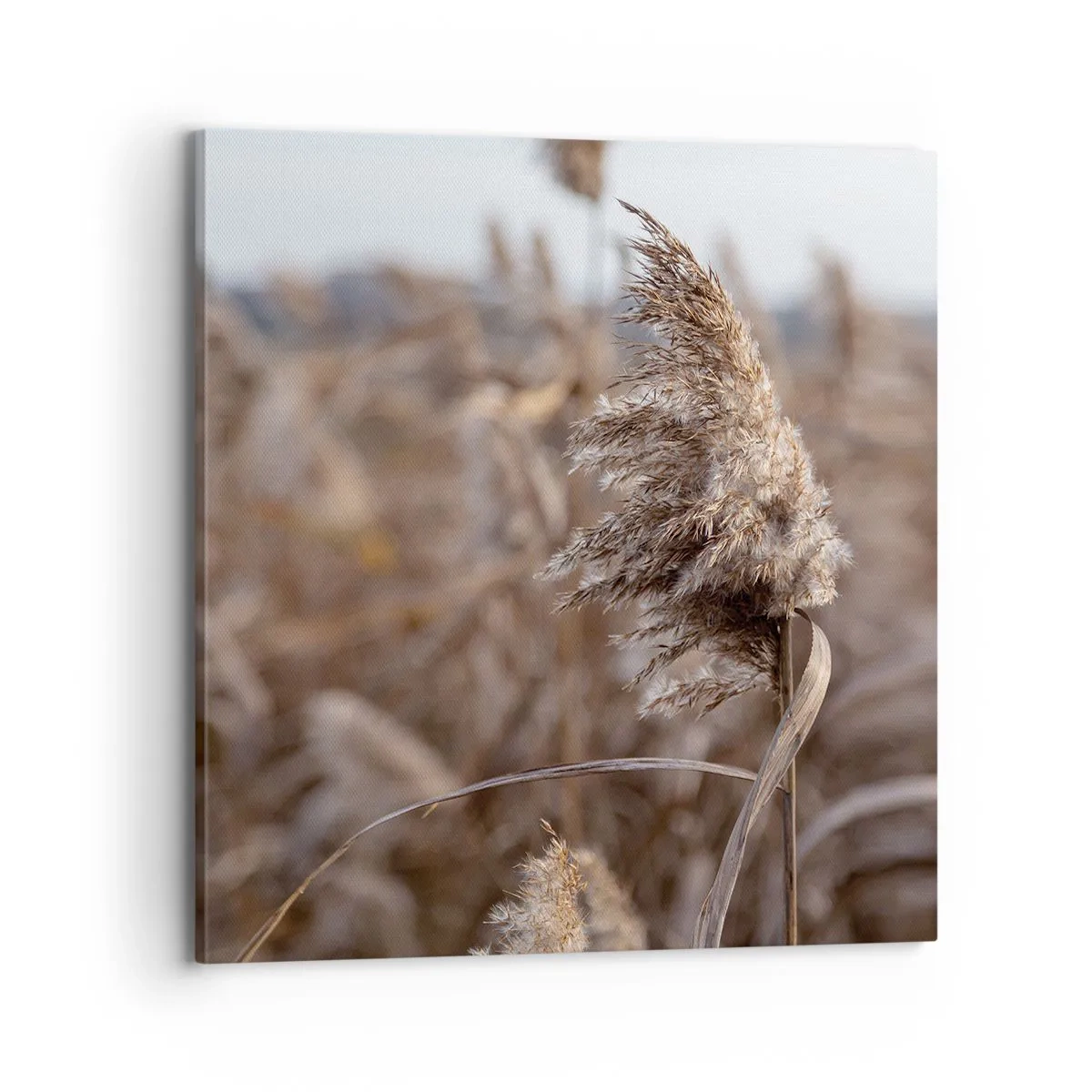 Lærredstryk - Billede på lærred - Tid til at flyve væk med vinden - 70x70 cm