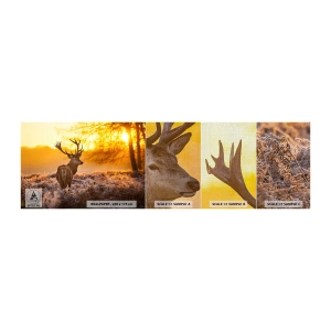 Prøve Fototapet Premium Canvas - Kongen af efterårsskoven - Landskab, Hjort, Natur - 100x30 cm