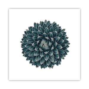 Plakat - Ørkenstjerne - 50x50 cm