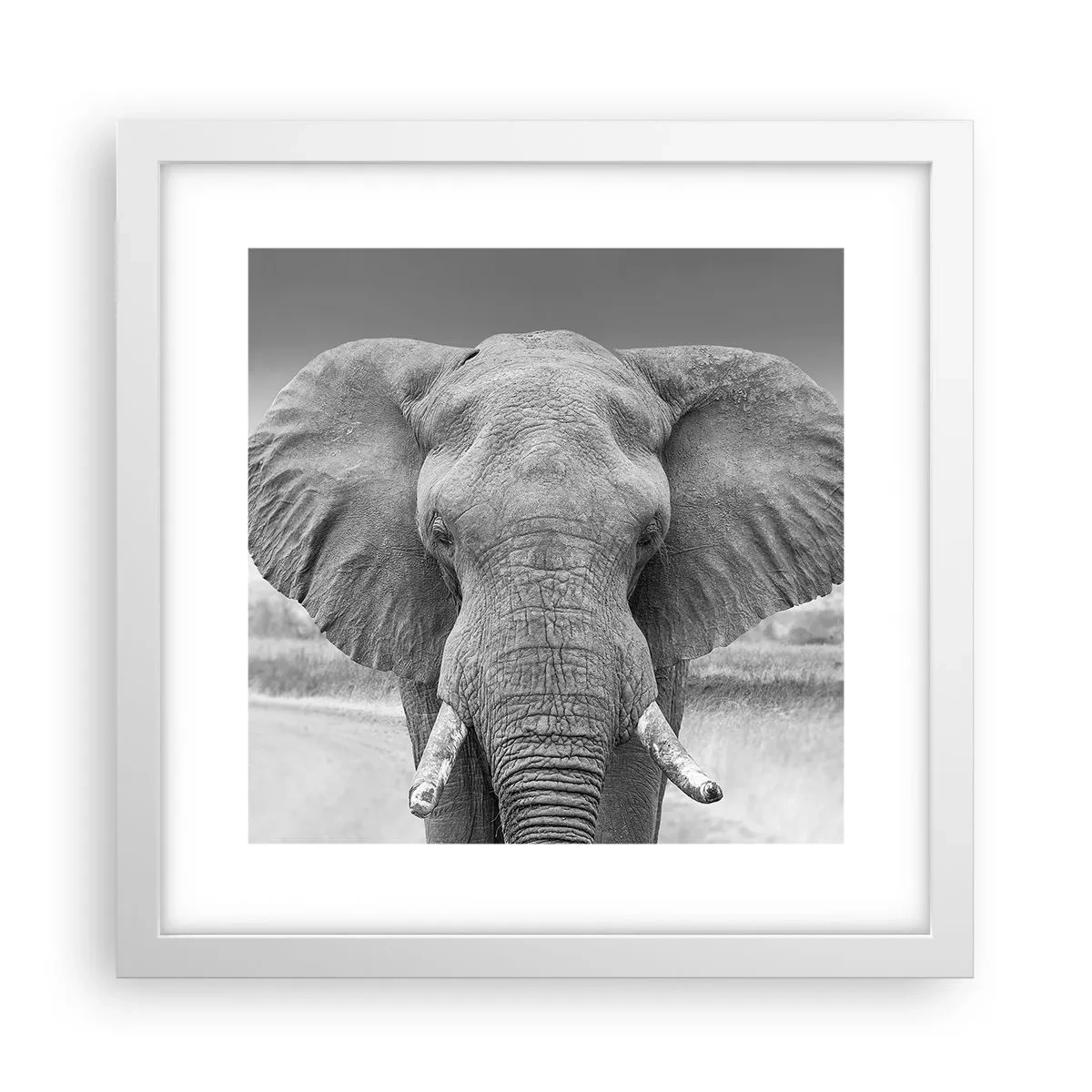 Plakat i hvid ramme - Velkommen til min verden - 30x30 cm