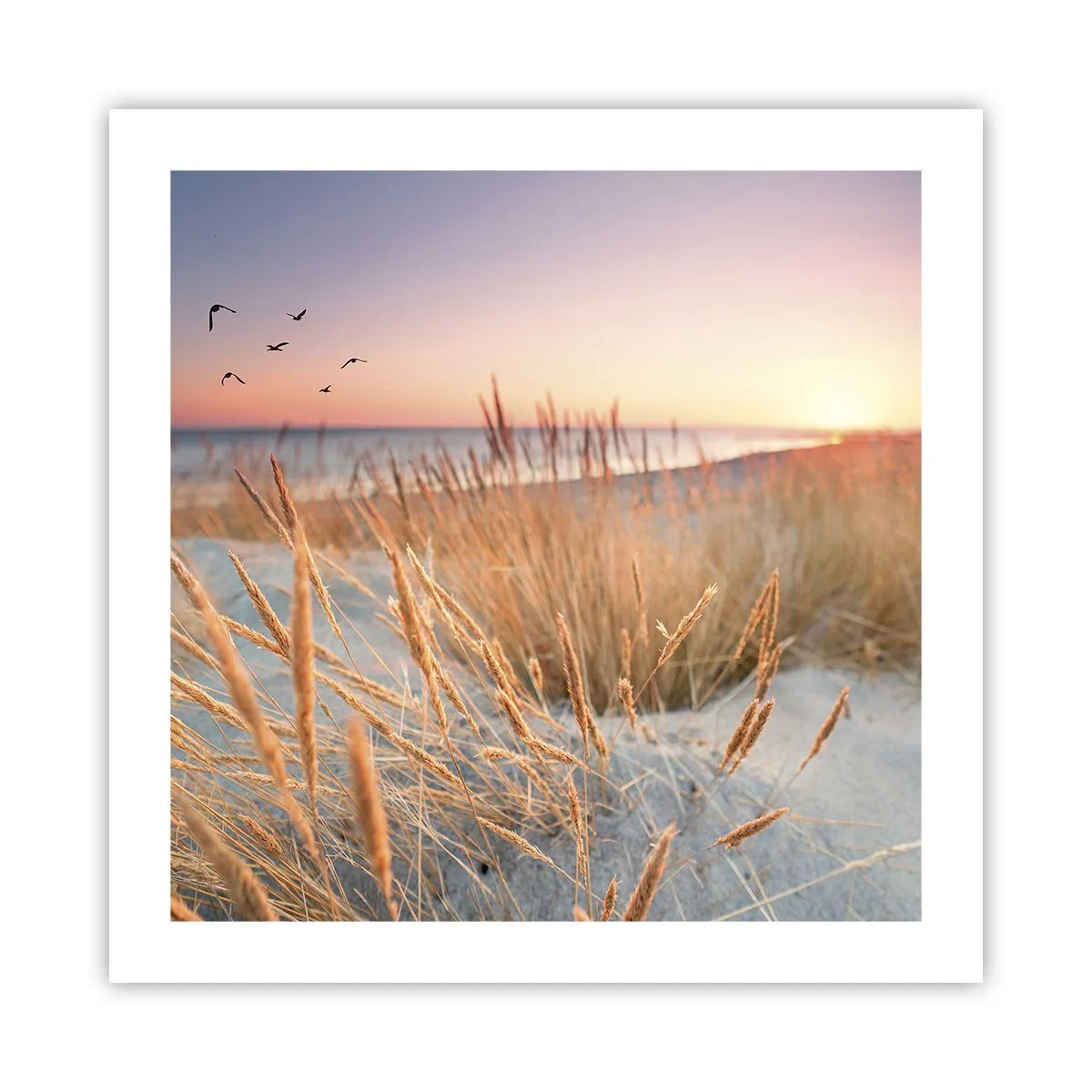 Plakat - Baltisk vuggevise - 50x50 cm