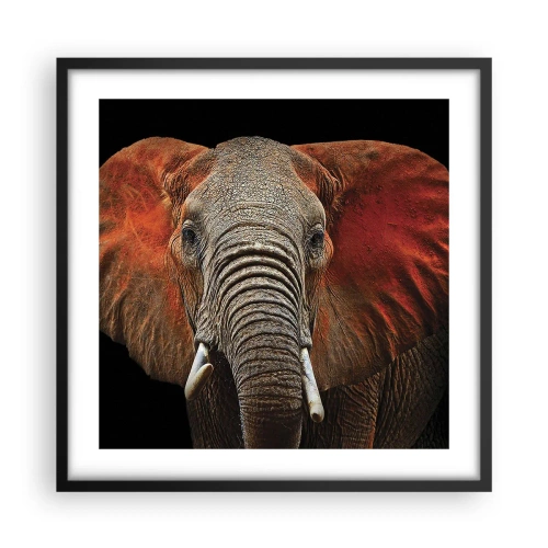 Plakat i sort ramme - Jeg er vild, er du? - 50x50 cm