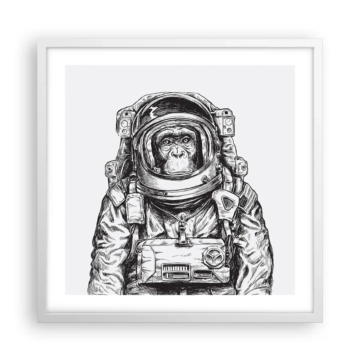 Plakat i hvid ramme - Alternativ evolution - 50x50 cm