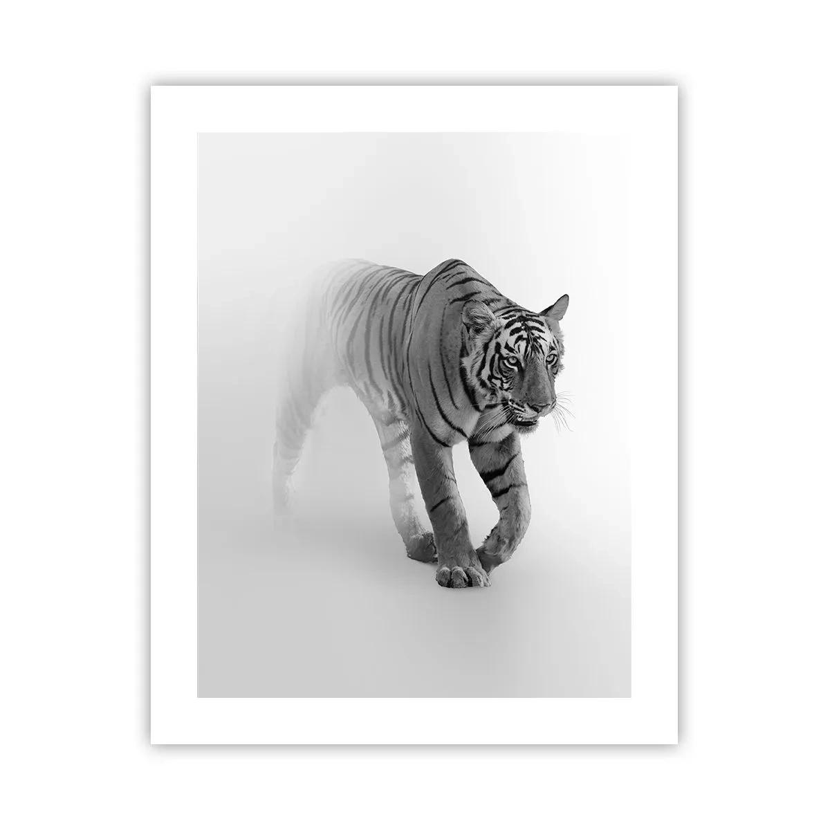 Plakat - Krybende i tågen - 40x50 cm