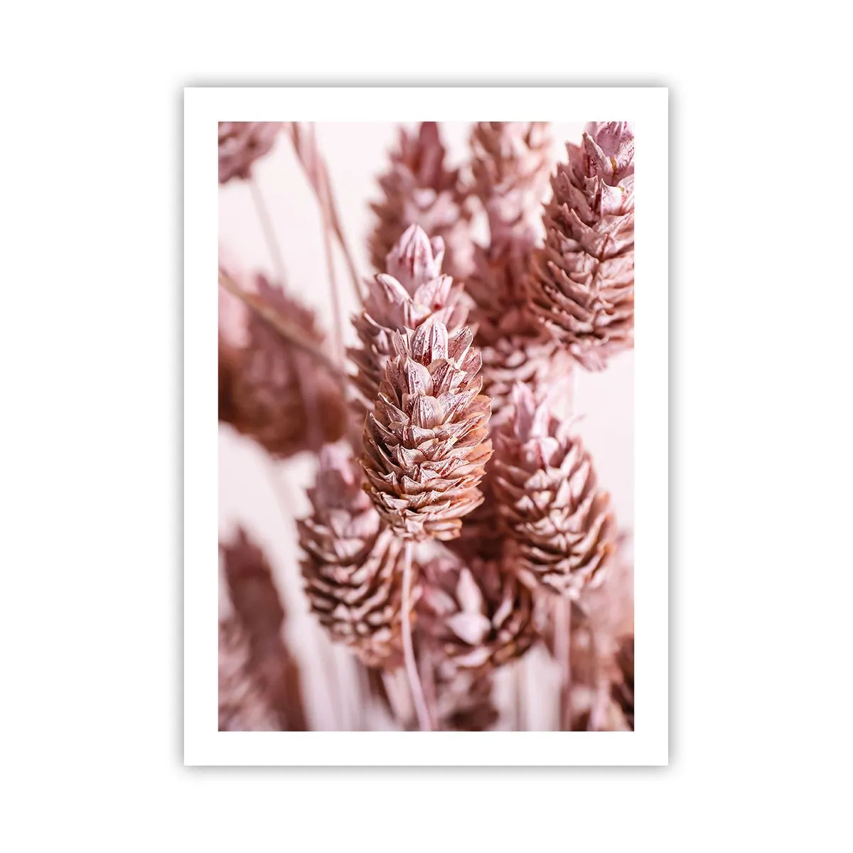 Plakat - Tilsyneladende ubemærket - 50x70 cm