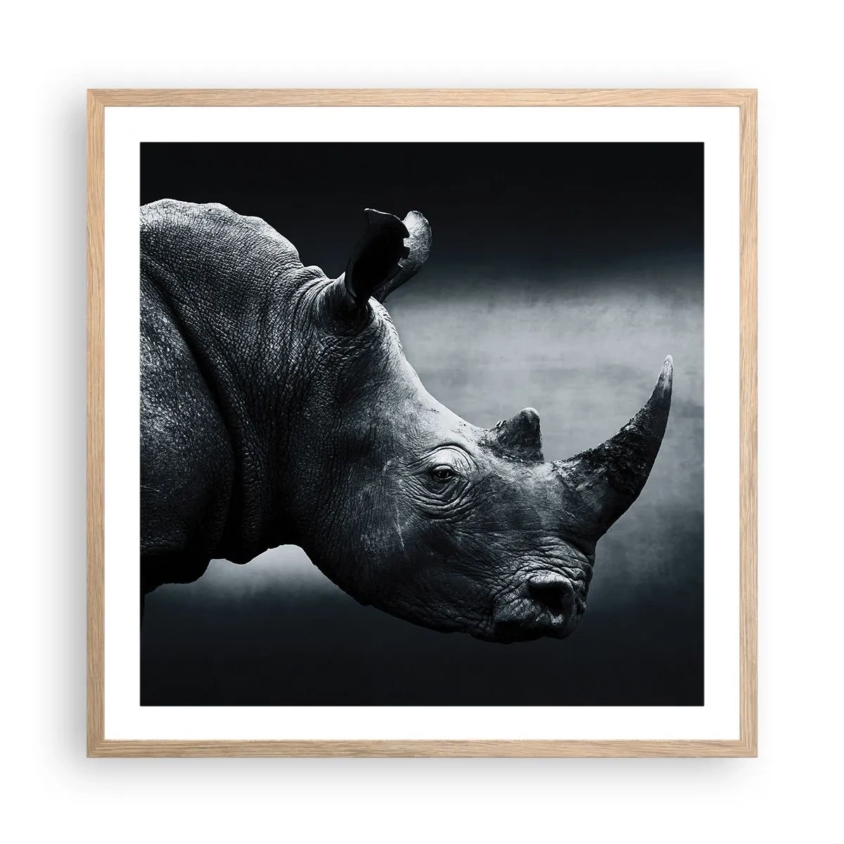 Plakat i ramme af lyst egetræ - Højre profil - 60x60 cm