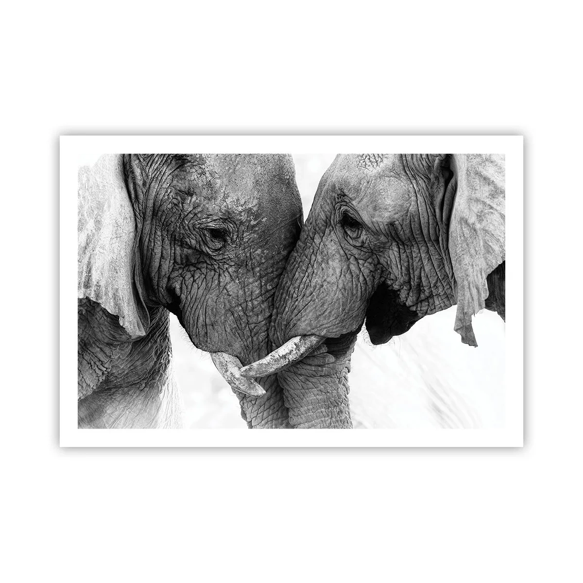 Plakat - Hjertelig tilståelse - 91x61 cm
