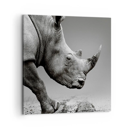 Lærredstryk - Billede på lærred - En ustoppeli - 50x50 cm