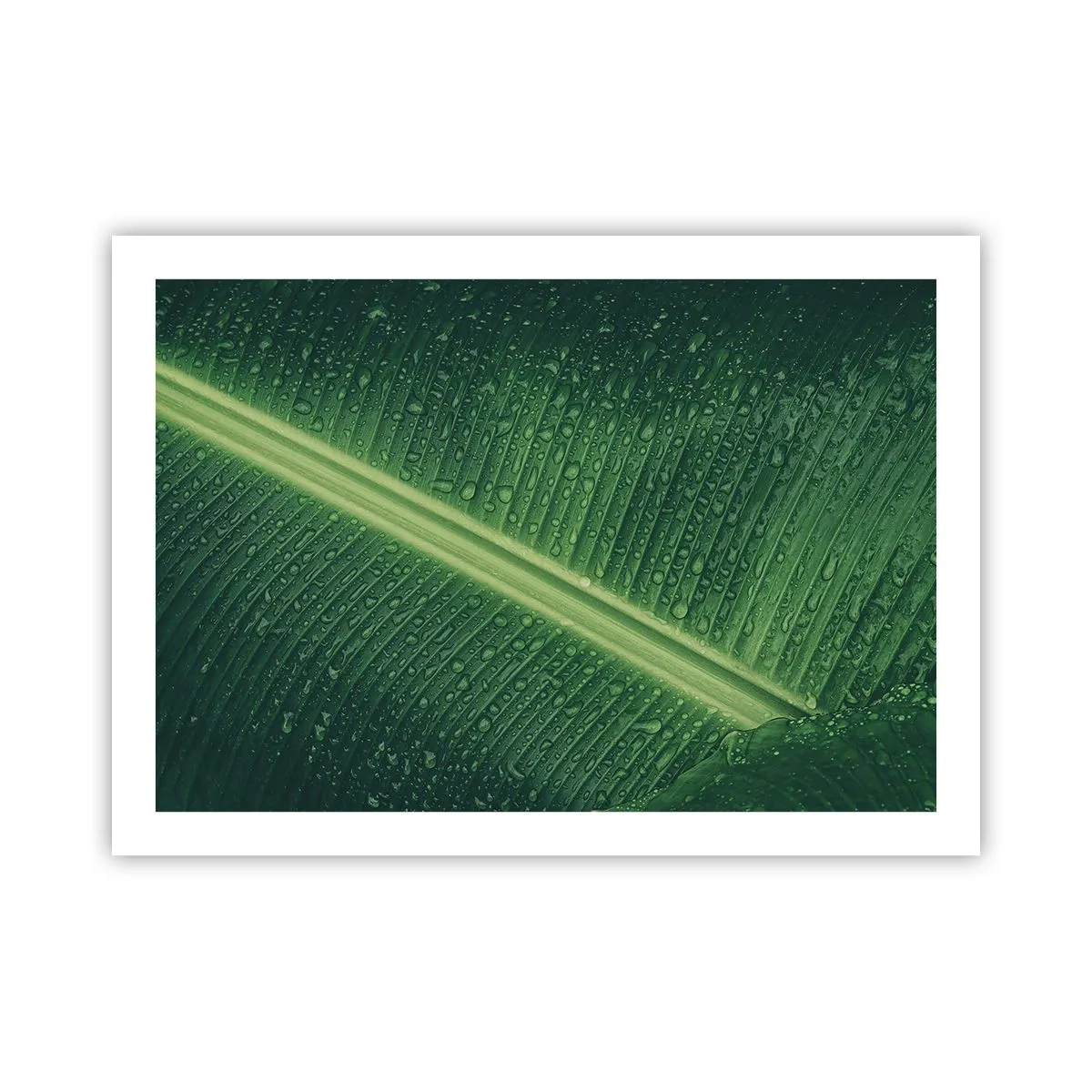 Plakat - Grøn struktur - 70x50 cm