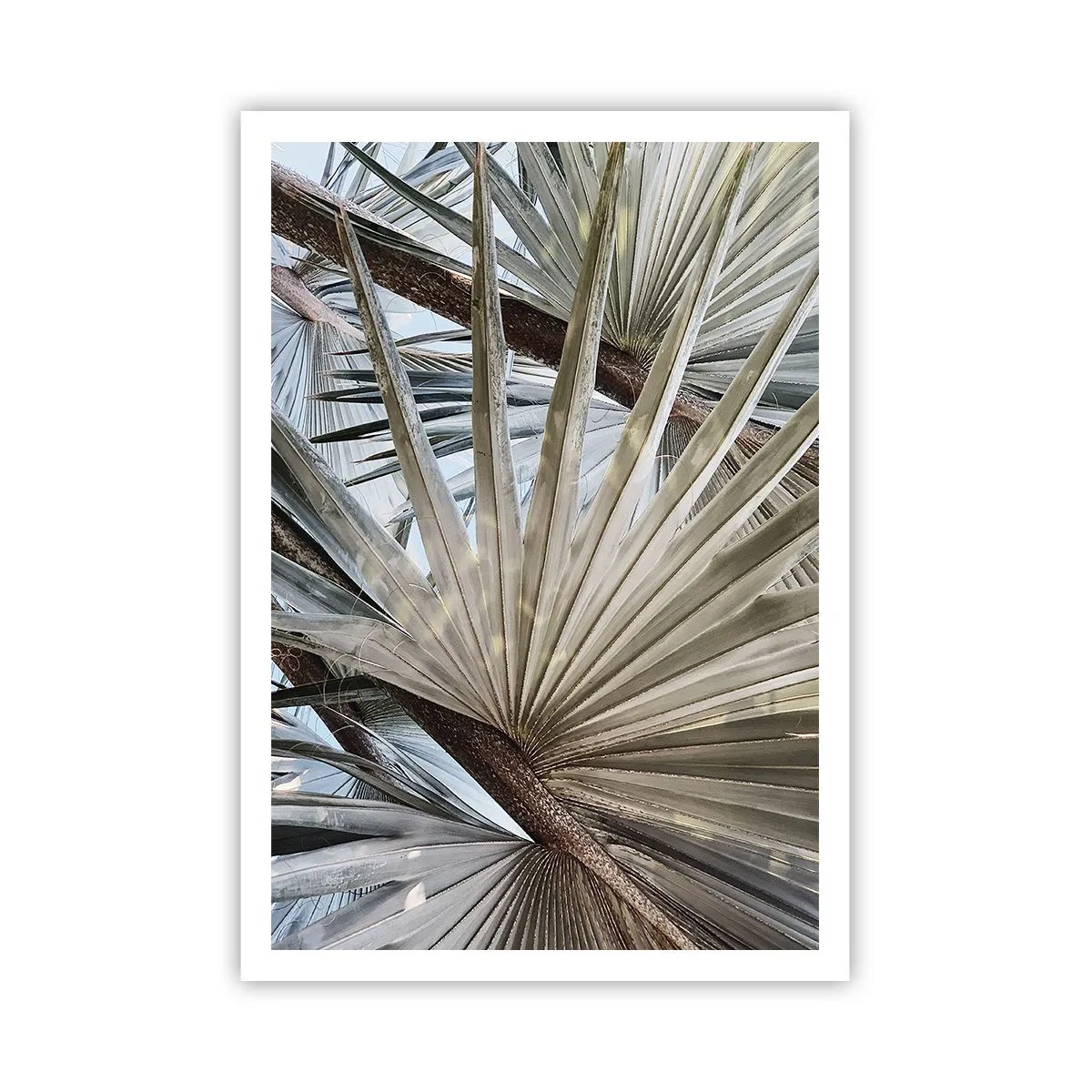 Plakat - Ventilatorer i troperne - 70x100 cm