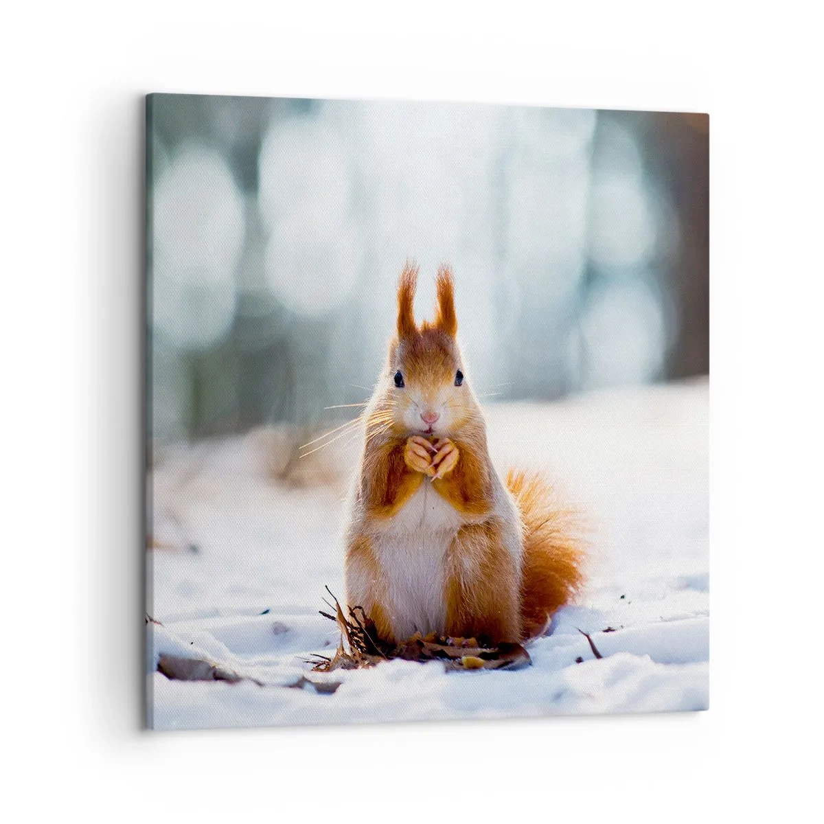 Lærredstryk - Billede på lærred - Og hvad kigger du på? - 50x50 cm