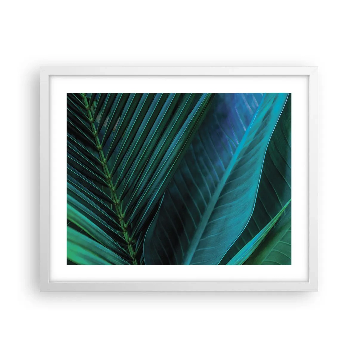 Plakat i hvid ramme - Anatomi af en grøn - 50x40 cm