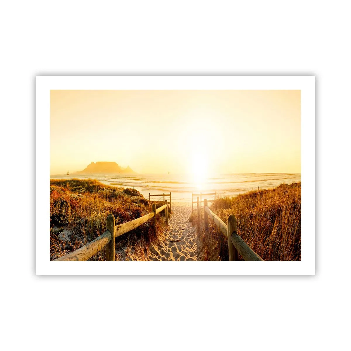 Plakat - Over klitten, mod solen - 70x50 cm