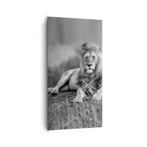 Lærredstryk - Billede på lærred - Kongelig siesta - 65x120 cm