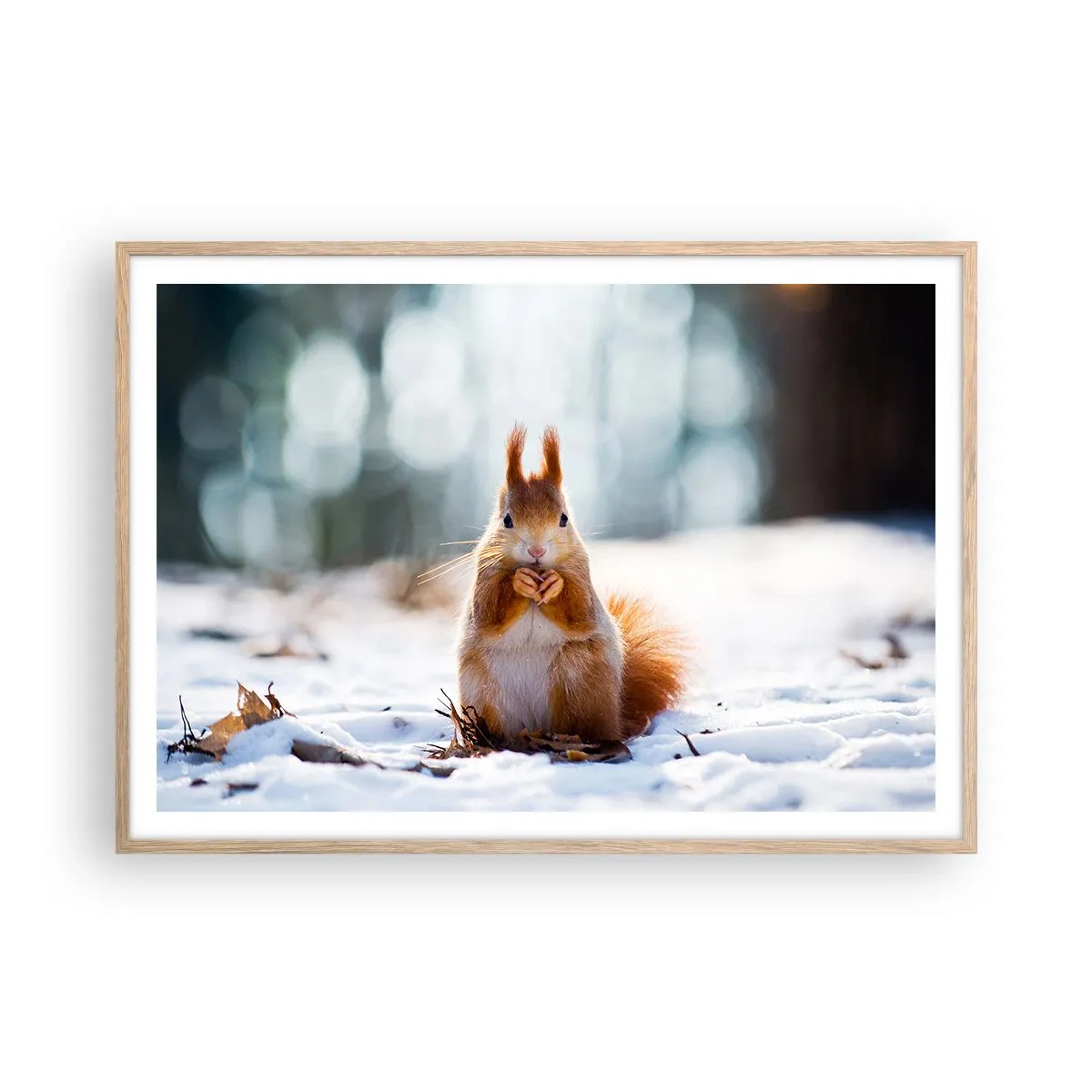 Plakat i ramme af lyst egetræ - Og hvad kigger du på? - 100x70 cm