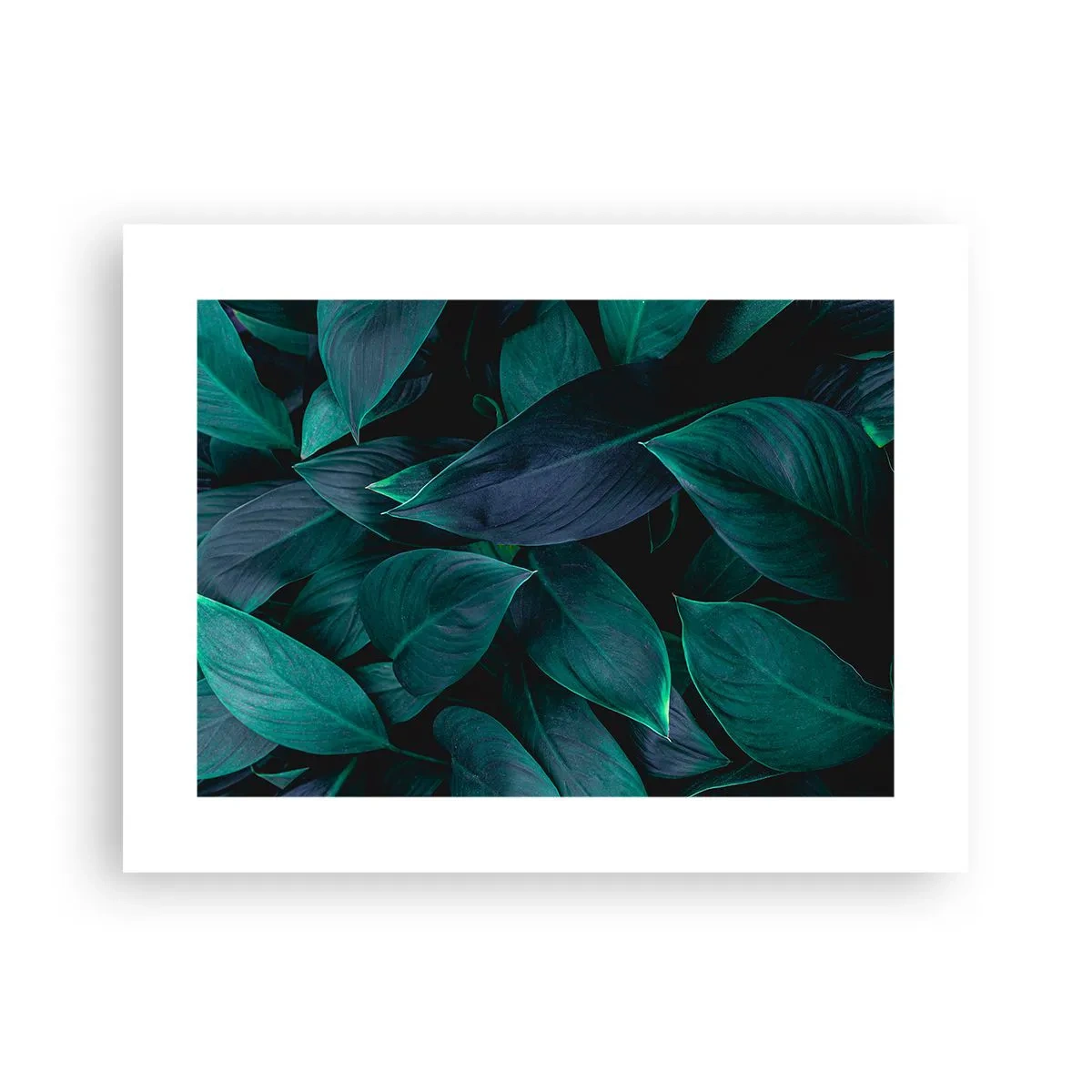 Plakat - Grønt i sig selv - 40x30 cm