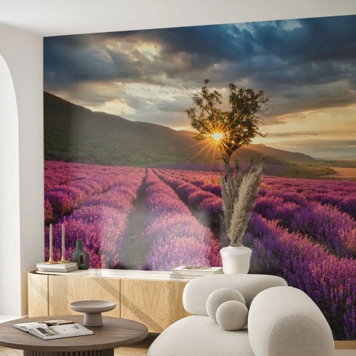 Fototapet Selvklæbende Deluxe Sticker - Lilla aroma - Landskab, Lavendel, Provence - 100x70 cm