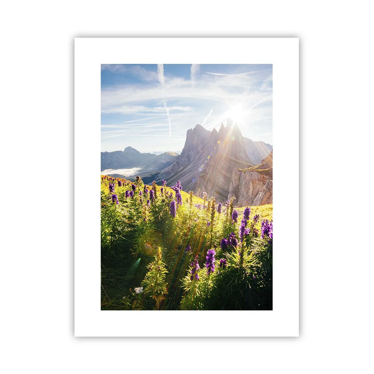 Plakat - Urternes hemmelige liv - 30x40 cm