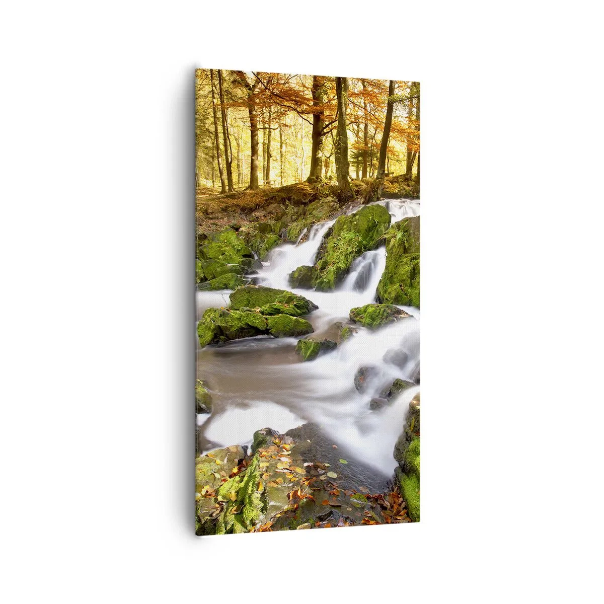 Lærredstryk - Billede på lærred - Bystrøm gennem efterårsskoven - 65x120 cm