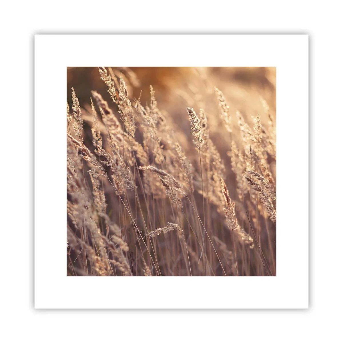 Plakat - Klar til at byde efteråret velkommen - 30x30 cm