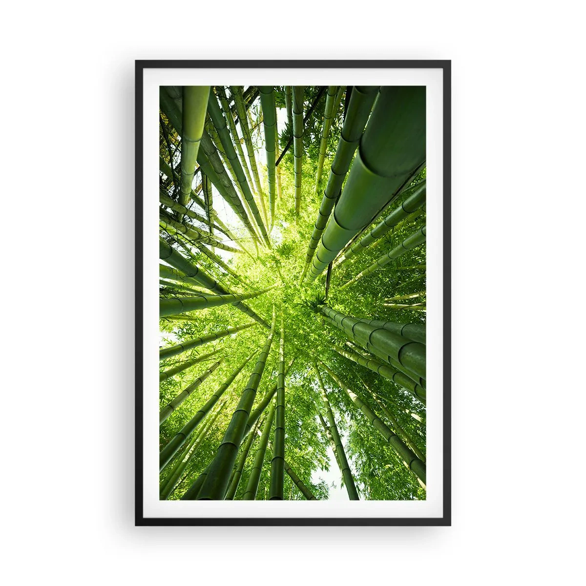 Plakat i sort ramme - I en bambuslund - 61x91 cm