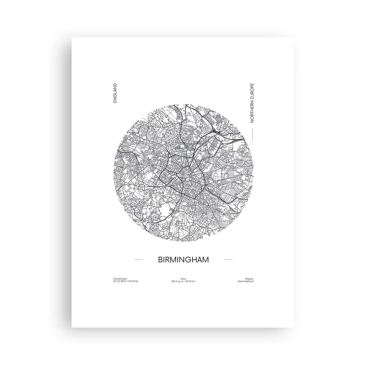 Plakat - Birminghams anatomi - 30x40 cm