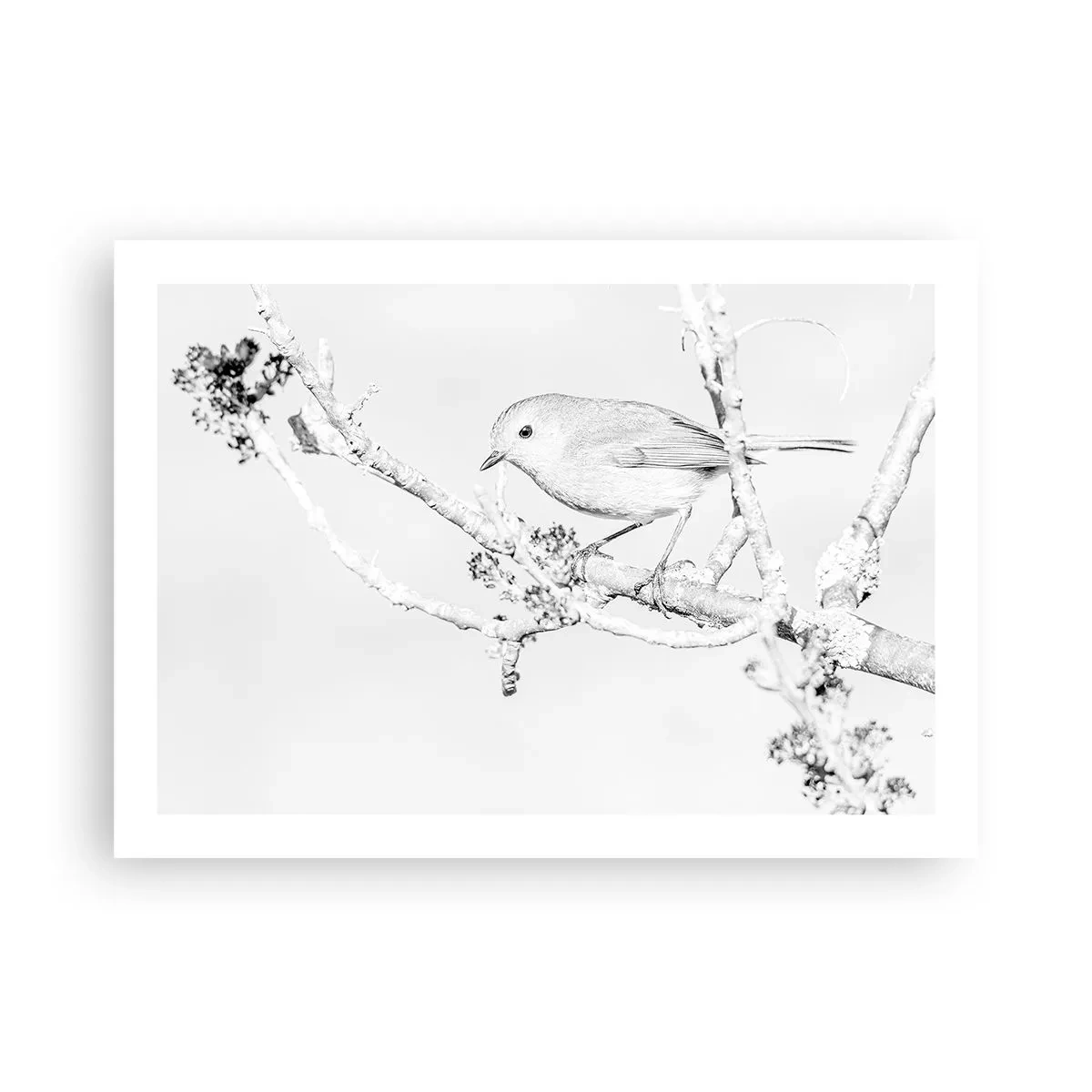 Plakat - Vintermorgen - 70x50 cm