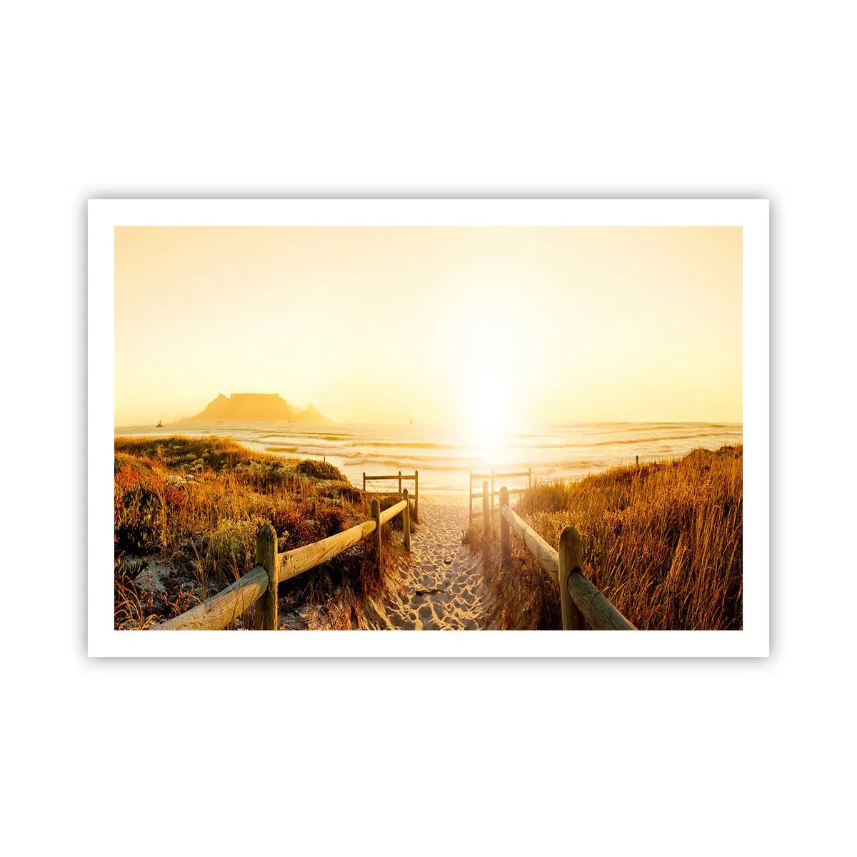 Plakat - Over klitten, mod solen - 91x61 cm
