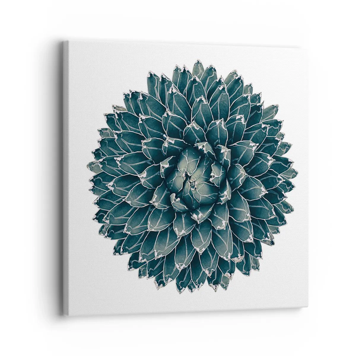 Lærredstryk - Billede på lærred - Ørkenstjerne - 30x30 cm