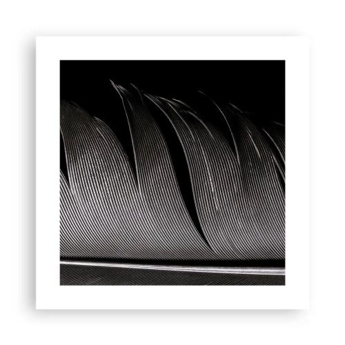 Plakat - Fjer - en vidunderlig konstruktion - 40x40 cm