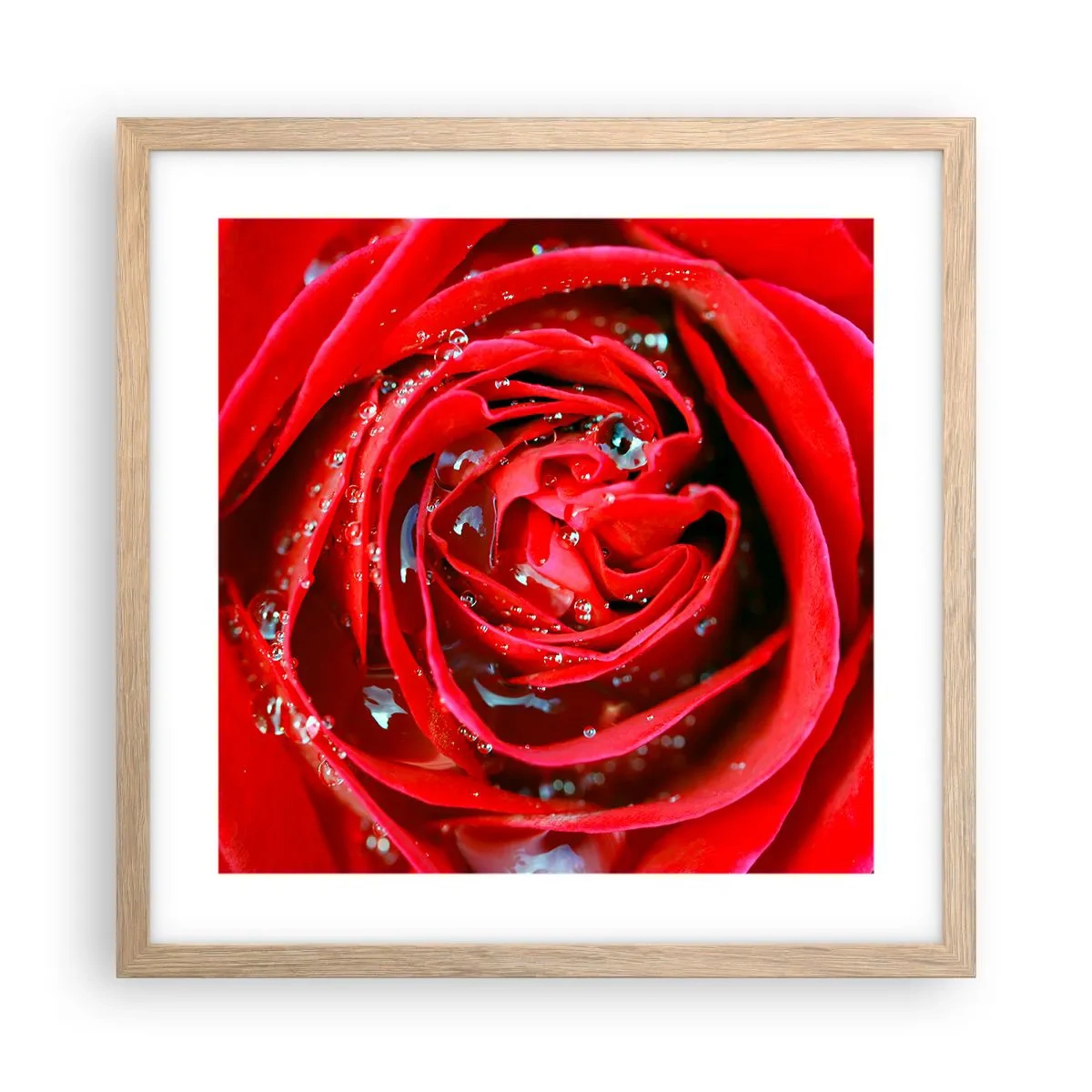 Plakat i ramme af lyst egetræ - I dråber af dug - 40x40 cm