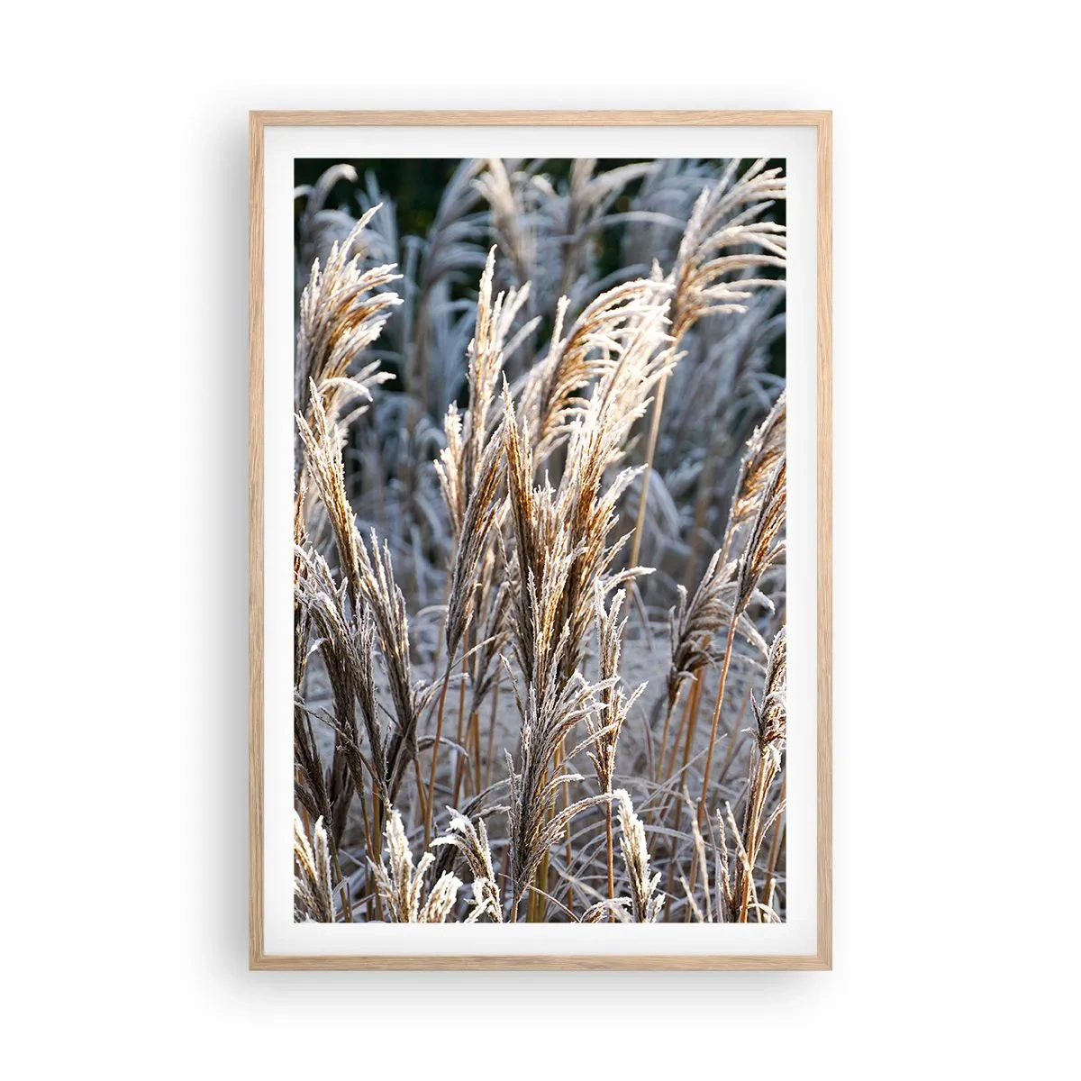 Plakat i ramme af lyst egetræ - Pyntet med frost - 61x91 cm