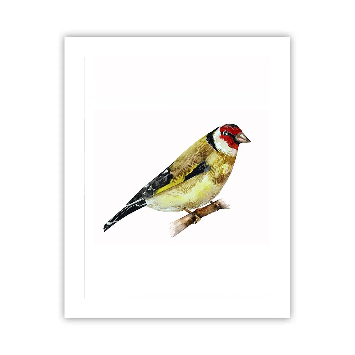 Plakat - Portræt af en fugl - 40x50 cm