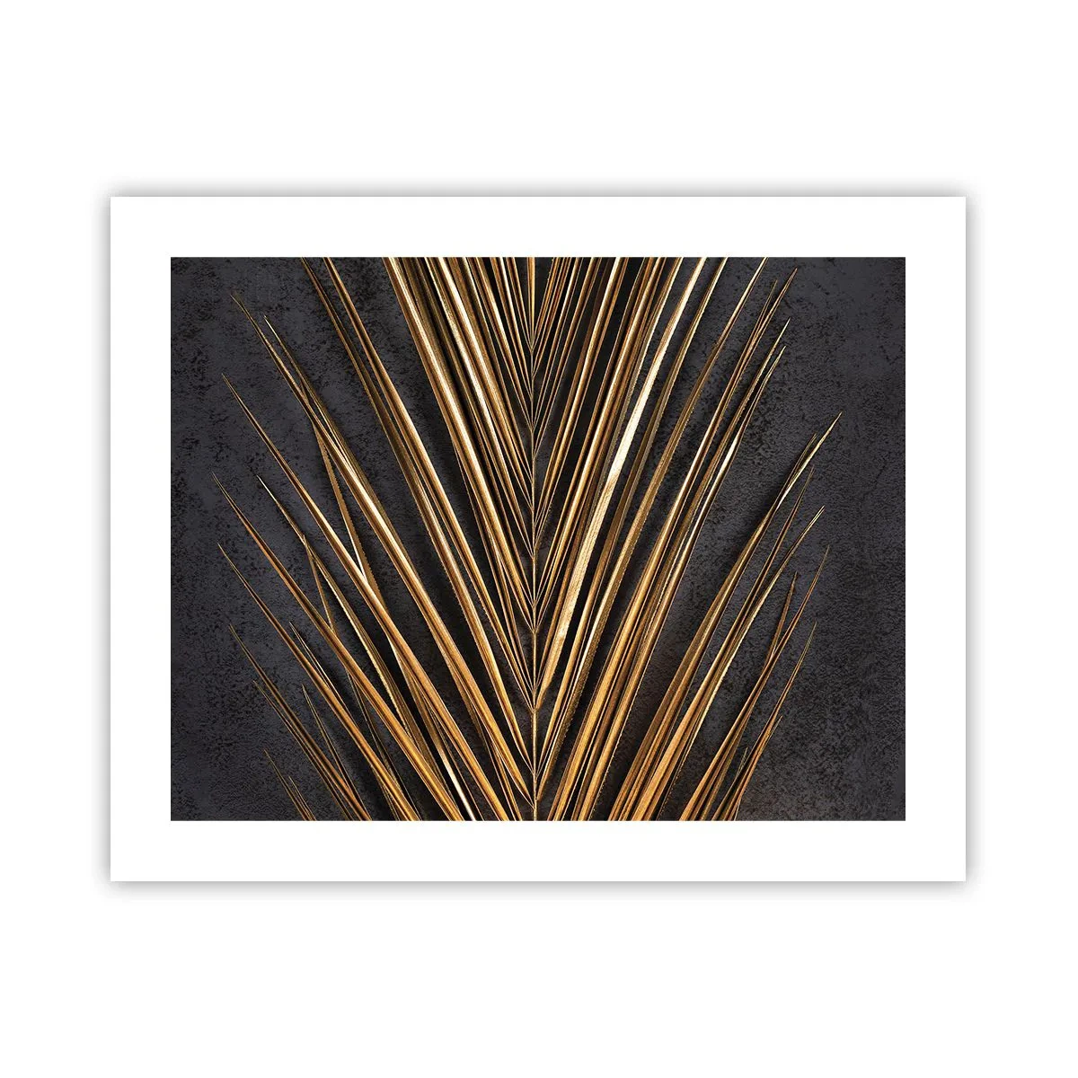 Plakat - Tropernes guld - 50x40 cm