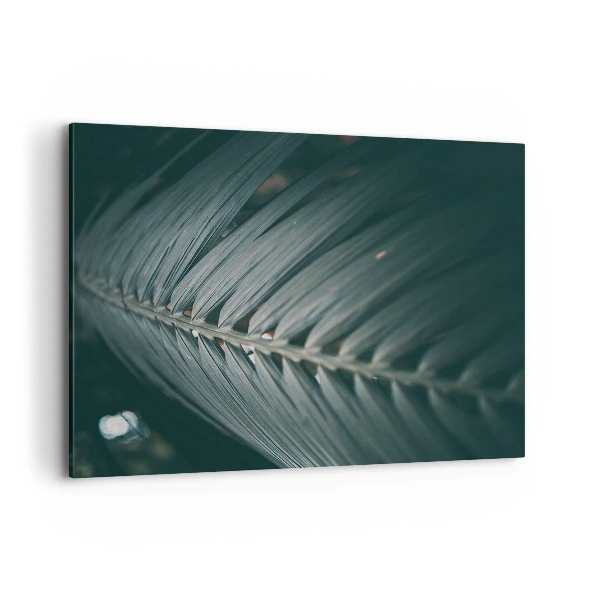 Lærredstryk - Billede på lærred - Naturens præcision - 100x70 cm