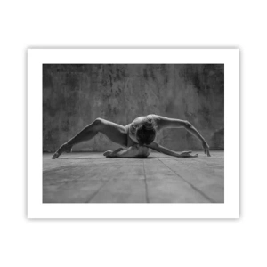 Plakat - Symmetri fundet - 50x40 cm