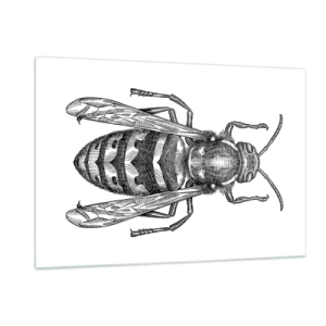 Billede på glas - Fra en insektplanet - 120x80 cm